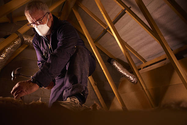 Best Insulation Maintenance and Repair in Kincheloe, MI