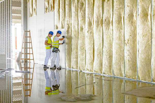 Best Residential Insulation in Kincheloe, MI
